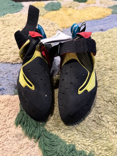 Scarpa drago - , 38