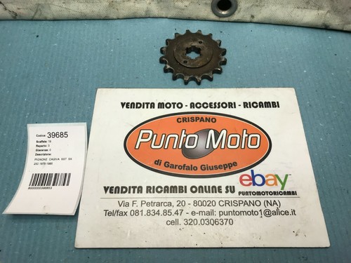 Pignone ingranaggio motore