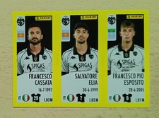 Panini Calciatori 2024-25