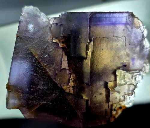 Multizoned fluorite denton - multizoned,