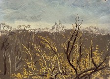 Dipinto A Olio Studio Bosco In