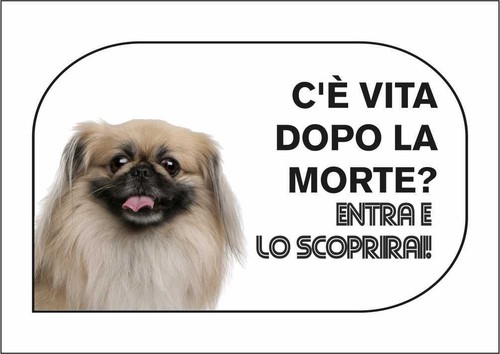 Cartello segnaletico - cartello,