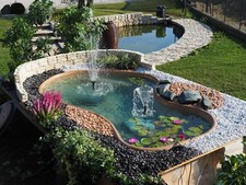 Laghetto laguna giardino - laghetto, da