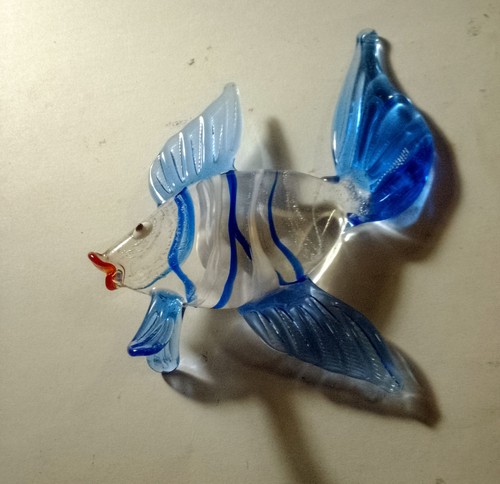 Pesce azzurro vetro - pesce, di