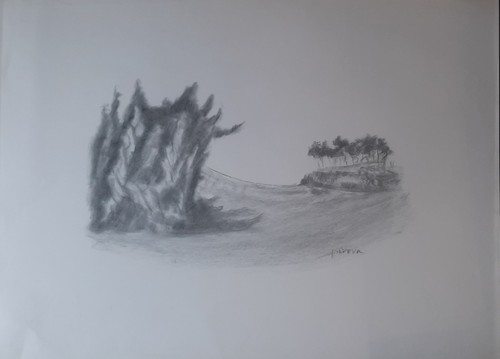 Arte goliardo padova - arte,