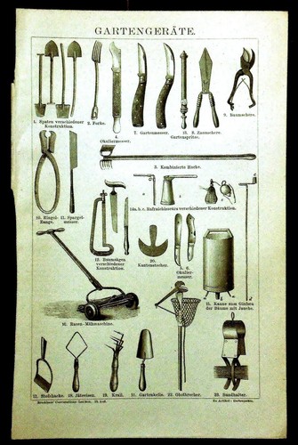 1894 old print litografica - print,