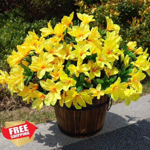 Fiori azalea gialli - fiori,