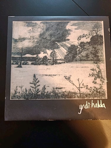 Yndi halda lp - yndi,