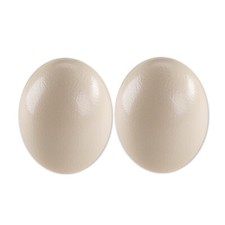 2 uova di struzzo originali soffiate uova di bouquet Sudafrica uova di struzzo natura Pasqua