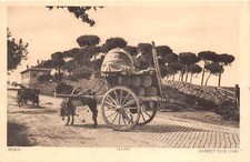 Lot336 roma carretto di vino