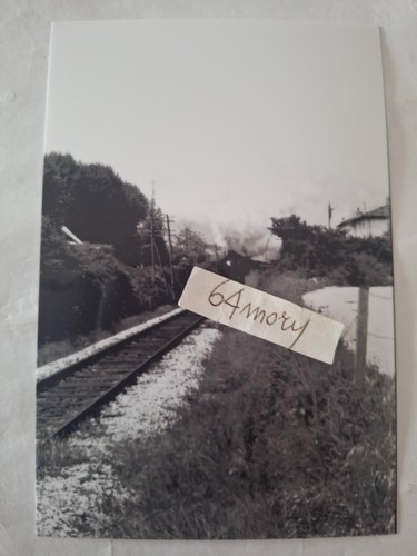Fotografia linea terni - fotografia,