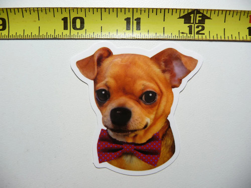 Cravatta fiocco chihuahua - fiocco,