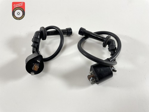 Bobine accensione suzuki dl - di,