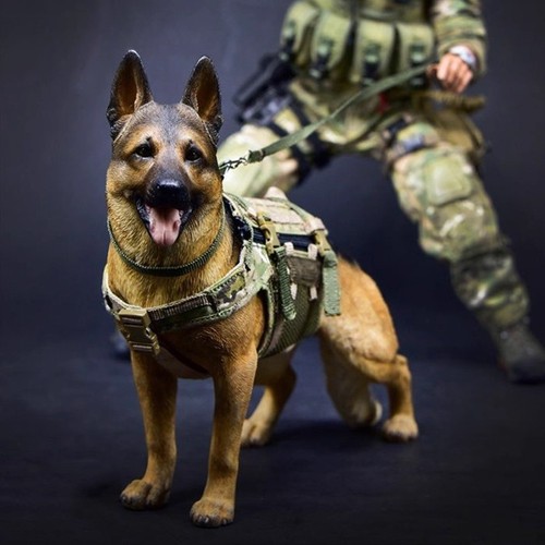 Scale german shepherd - shepherd, dog