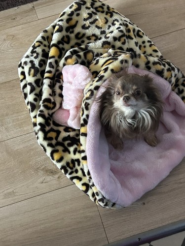Lusso sacco coccole letto per - lusso,