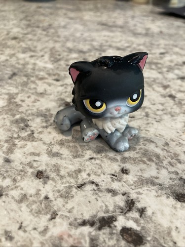 Hasbro littlest pet shop gatto - hasbro,