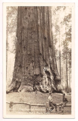 Cartolina visalia generale - ca,
