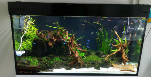 Base sicurezza acquario