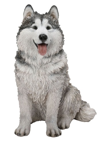 Vivid arts malamute husky - arts,