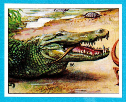 DINOSAURS/ANIMALI
