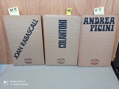 Andrea picini catalogo mostra - andrea,
