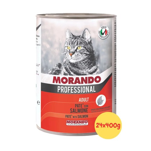 Morando umido gatto - morando,
