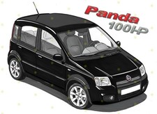 Fiat Panda 100hp Cuadro