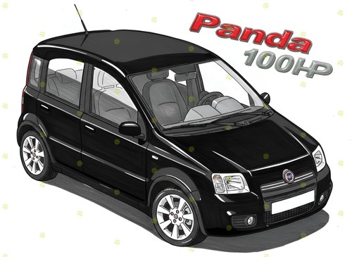 Fiat panda 100hp - fiat,