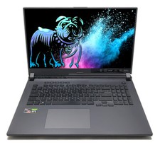 ASUS ROG Strix G17 G713 16"