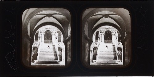 Stereoview traghetti scarpe - stereoview,,