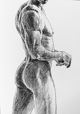 Nudo maschile in posizione