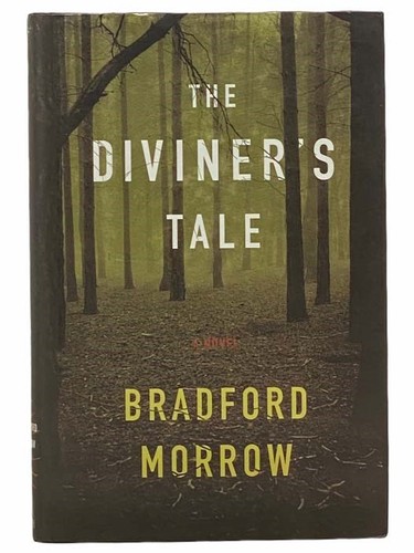 The diviner tale a novel - the, diviner's