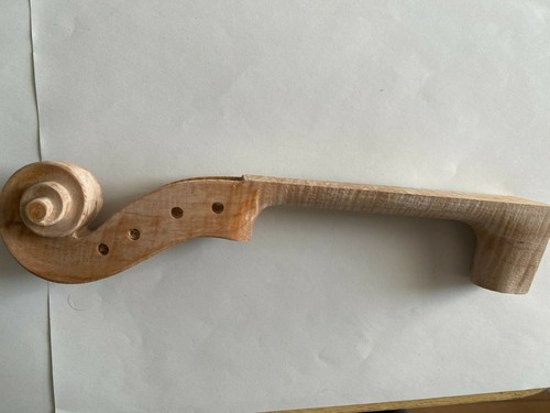 Testa collo violino - e,