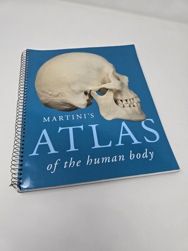 Martinis atlas the - atlas, human