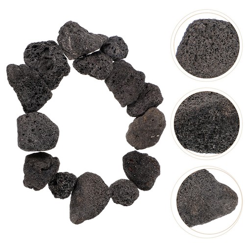 Roccia lavica per - , piante