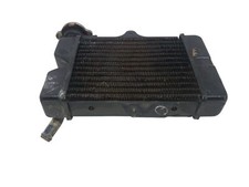 RADIATORE ACQUA GARELLI