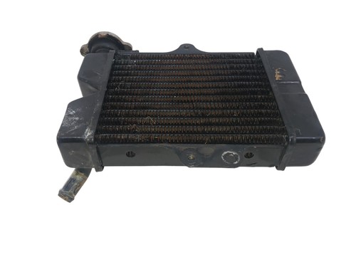 Radiatore acqua garelli - radiatore,