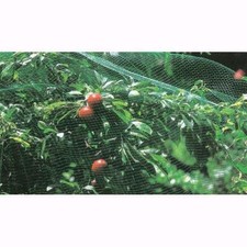 Rete Di Protezione Antiuccelli