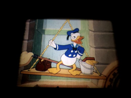 16mm film donald duck - duck, window