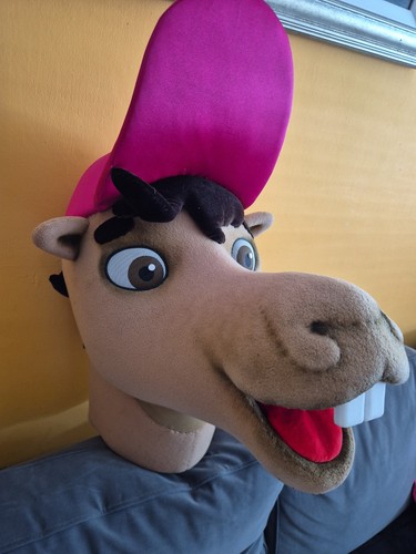 Costume mascotte parco tema