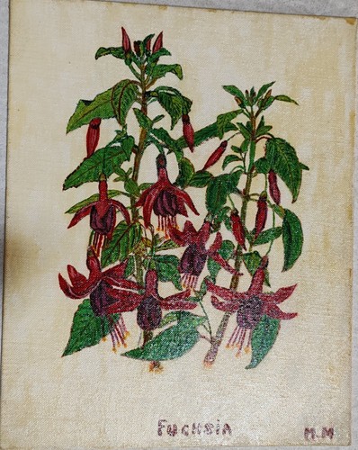Dipinti fiori - dipinti,