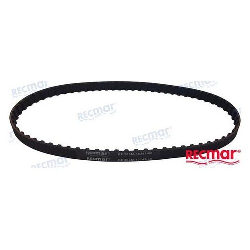 Cinghia distribuzione motore