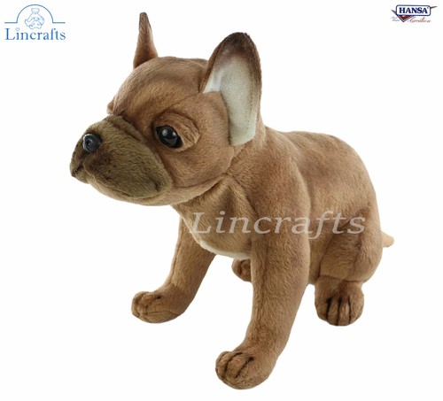 Hansa cucciolo bulldog - hansa,