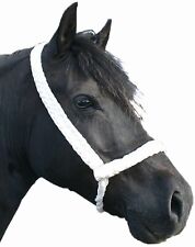 Pony Cob gallese intrecciato a