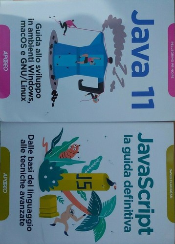 Libri informatica