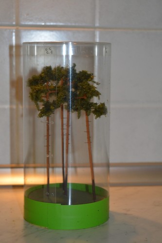 Kobza albero pino per - pino,