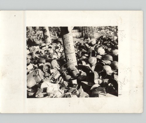 Collezione army elmetti - us,