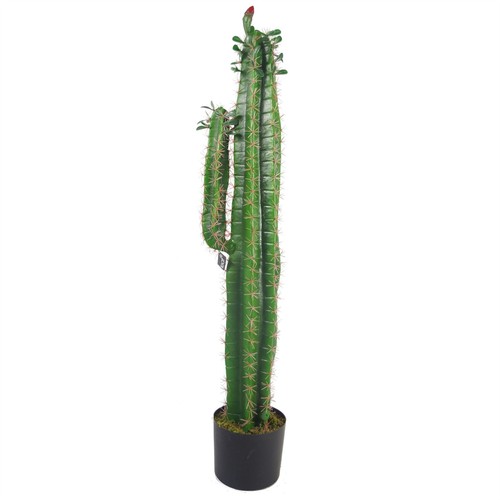 Pianta cactus artificiale - pianta,