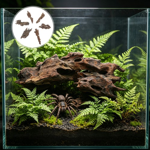 Pezzi decorazione pesciera - pezzi,