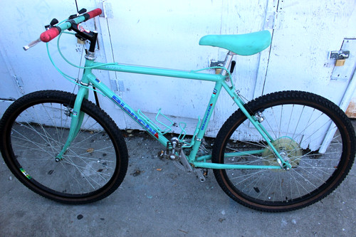 Bianchi grizzly celeste green - grizzly,